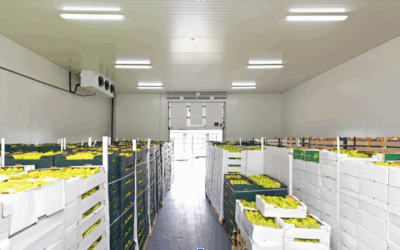 Temperature-Sensitive 3PLs: What You Need to Know